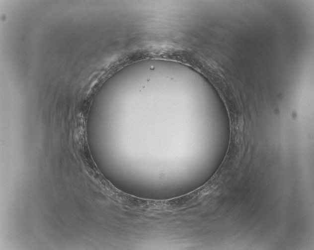 X0000052551349200507221440