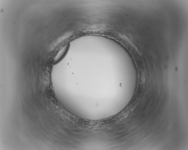 X0000052551350200507221440