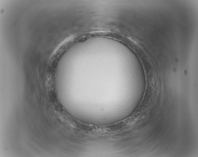 X0000052551351200507221440