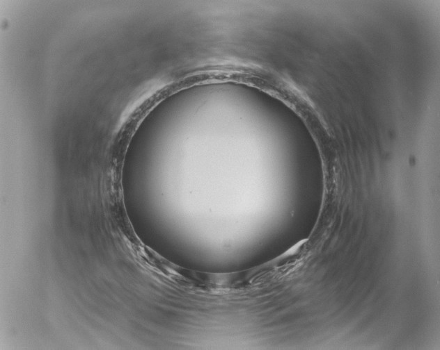 X0000052551352200507221440