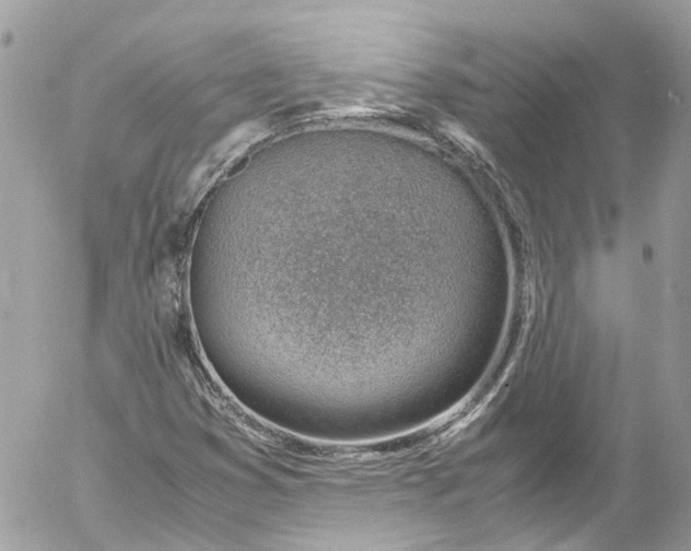 X0000052551353200507221440