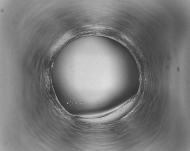 X0000052551354200507221440