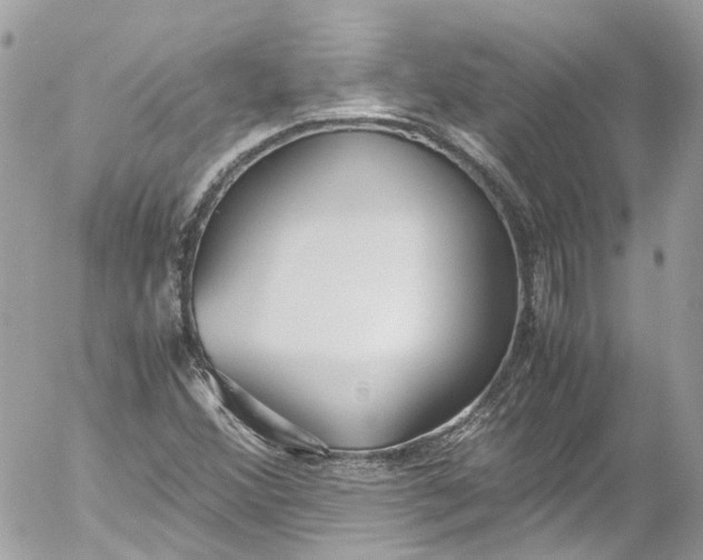 X0000052551356200507221440