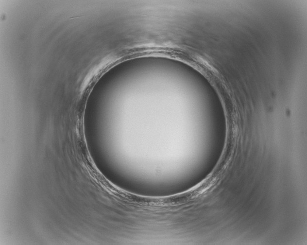 X0000052551357200507221440