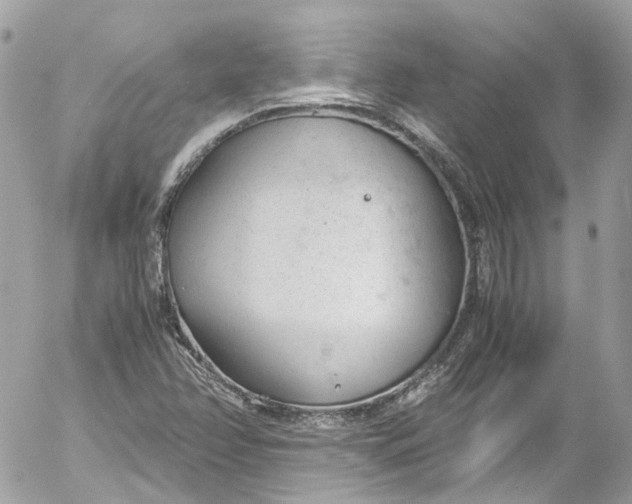 X0000052551358200507221440