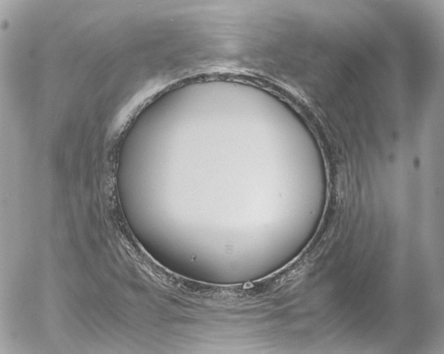 X0000052551359200507221440