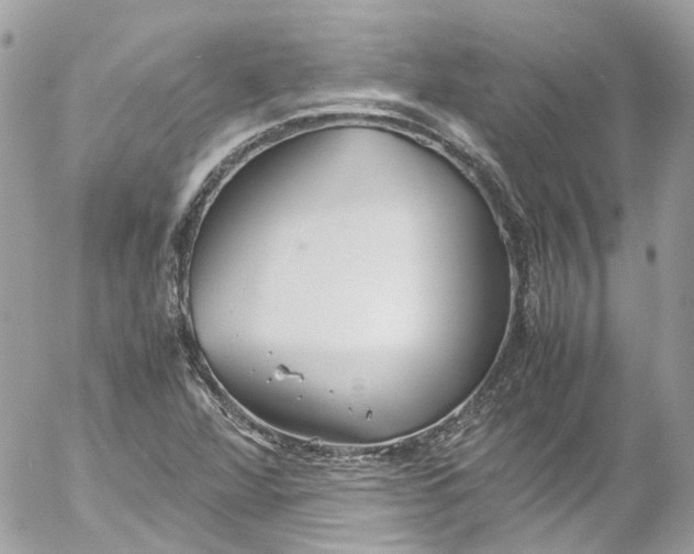 X0000052551360200507221440