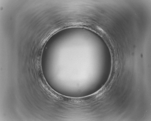 X0000052551361200507221440