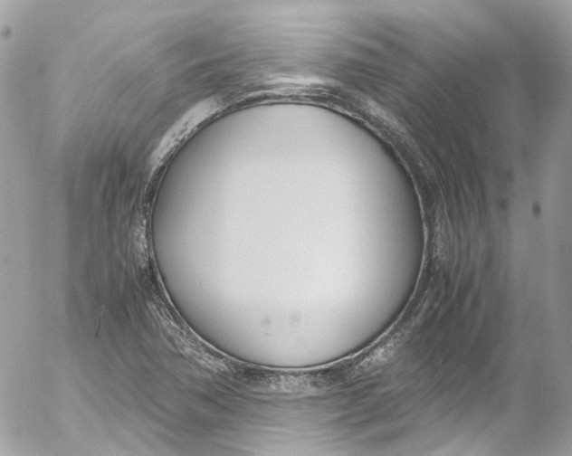 X0000052551362200507221440