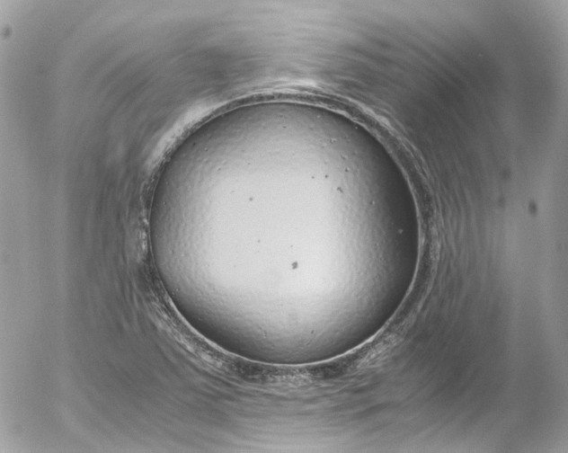 X0000052551363200507221440