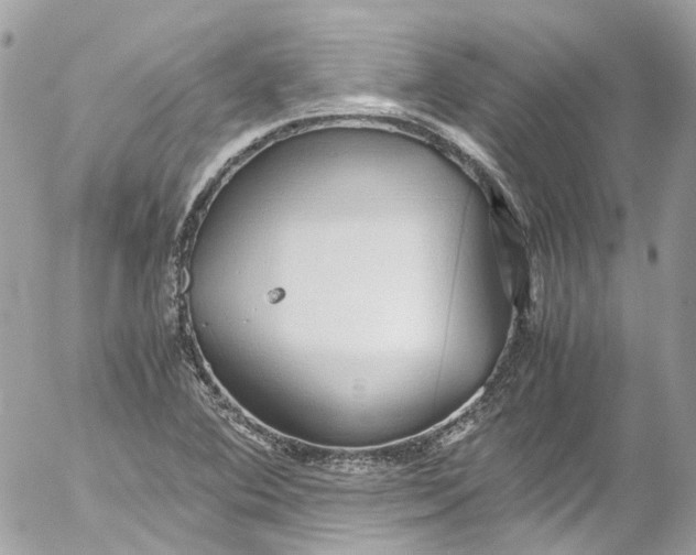 X0000052551364200507221440