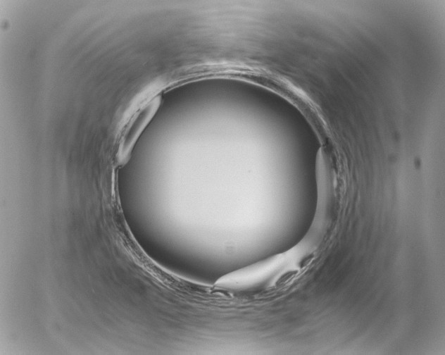 X0000052551365200507221440