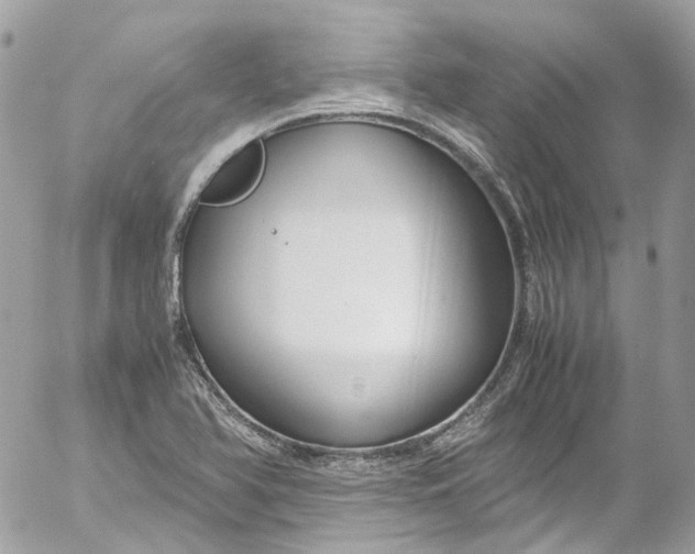 X0000052551366200507221440