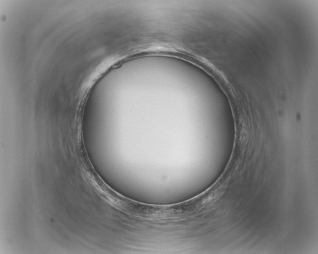 X0000052551367200507221440