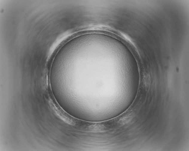 X0000052551368200507221440