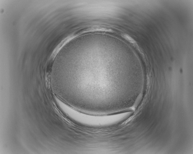 X0000052551369200507221440