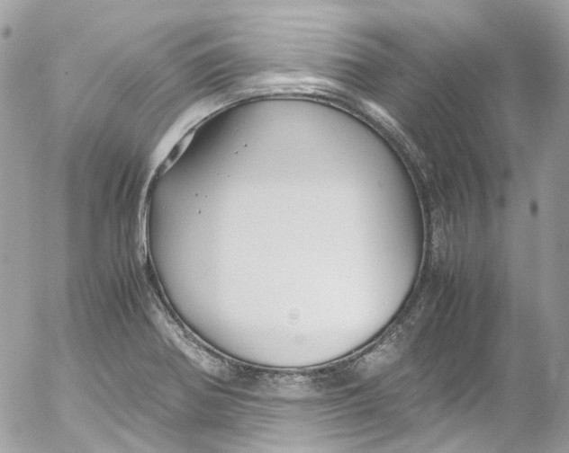 X0000052551370200507221440