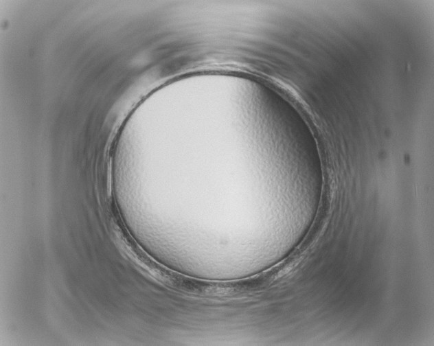 X0000052551371200507221440