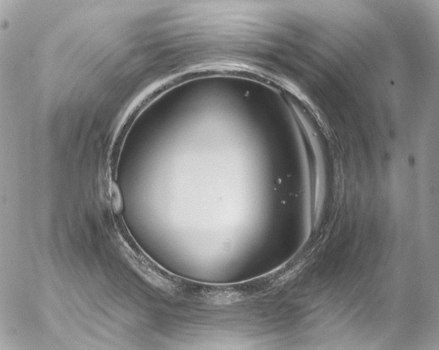 X0000052551372200507221440