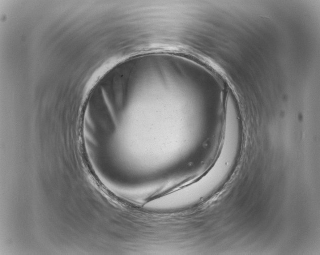 X0000052551373200507221440