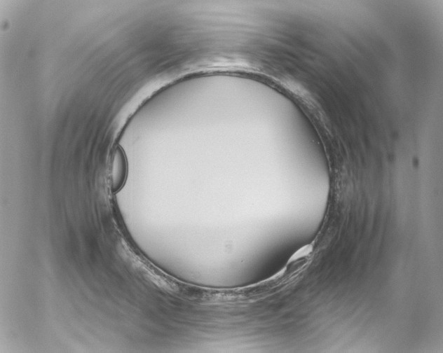 X0000052551374200507221440