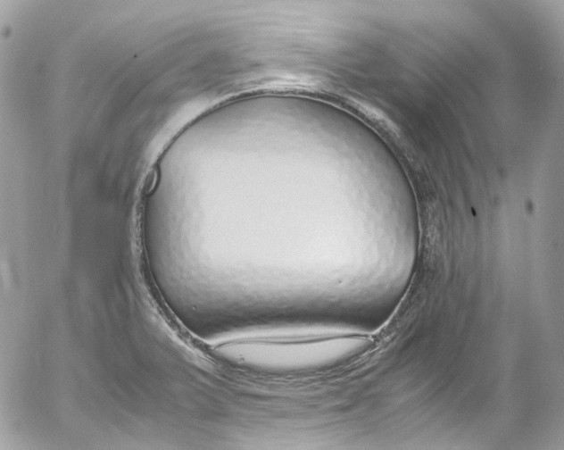 X0000052551375200507221440