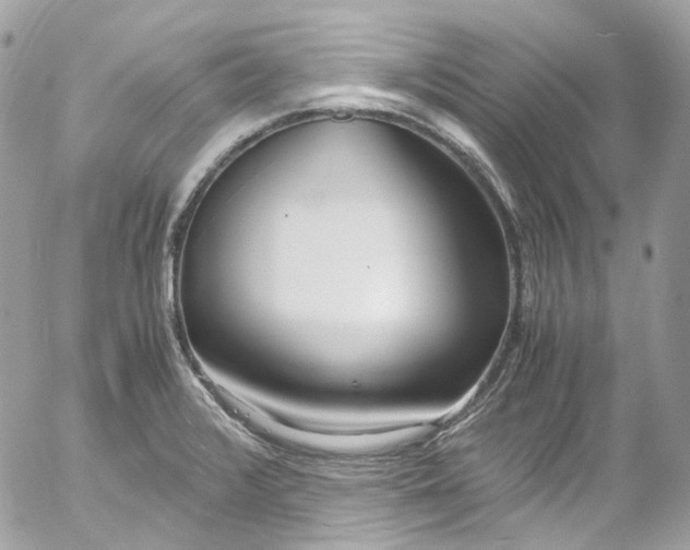 X0000052551376200507221440