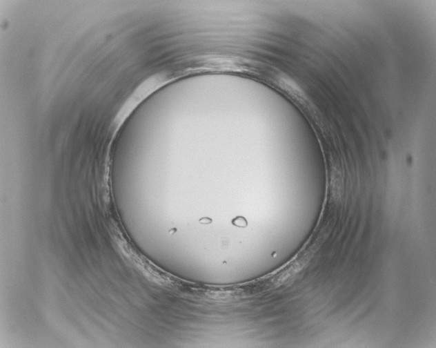 X0000052551378200507221440