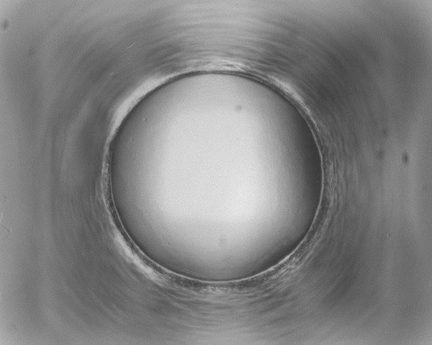 X0000052551379200507221440