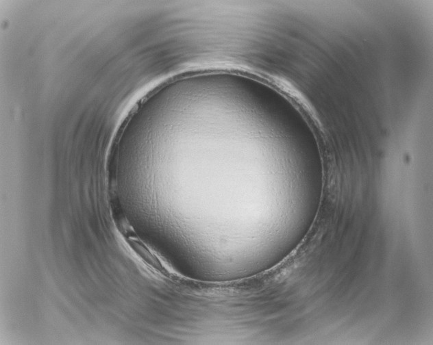 X0000052551380200507221440