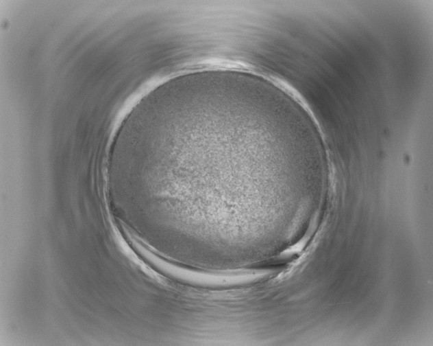 X0000052551381200507221440