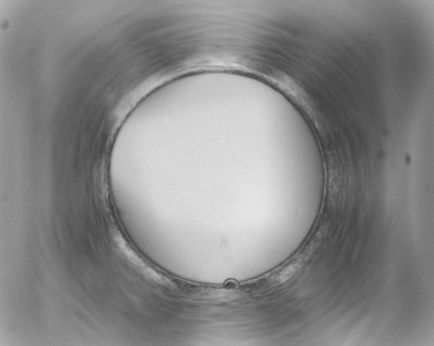 X0000052551382200507221440