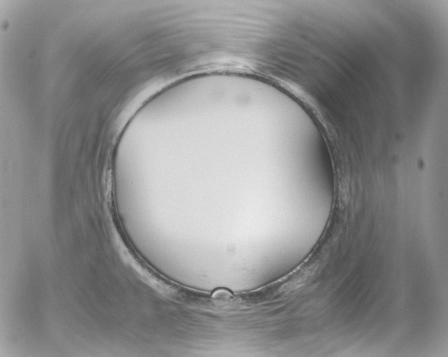 X0000052551383200507221440