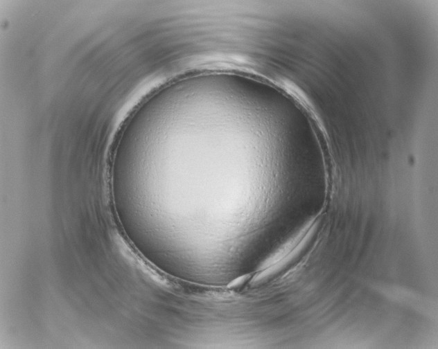 X0000052551384200507221440