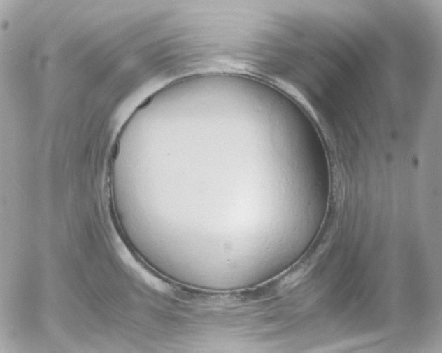 X0000052551387200507221440