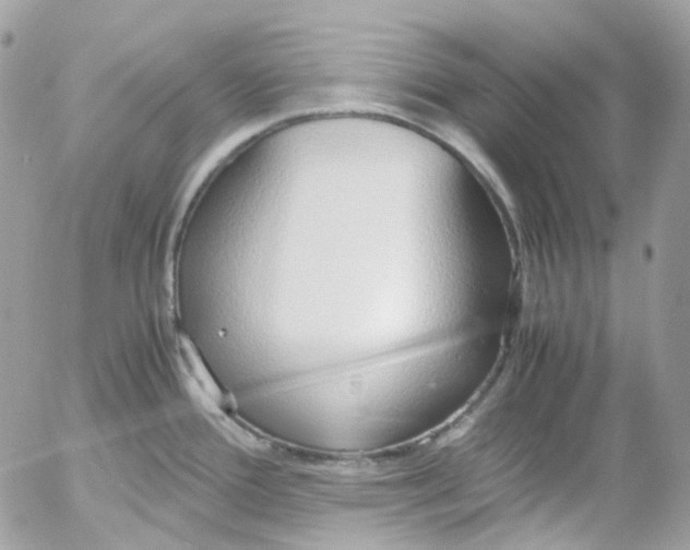 X0000052551388200507221440