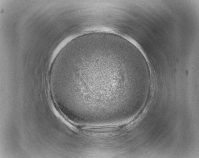 X0000052551389200507221440