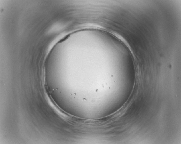 X0000052551391200507221440