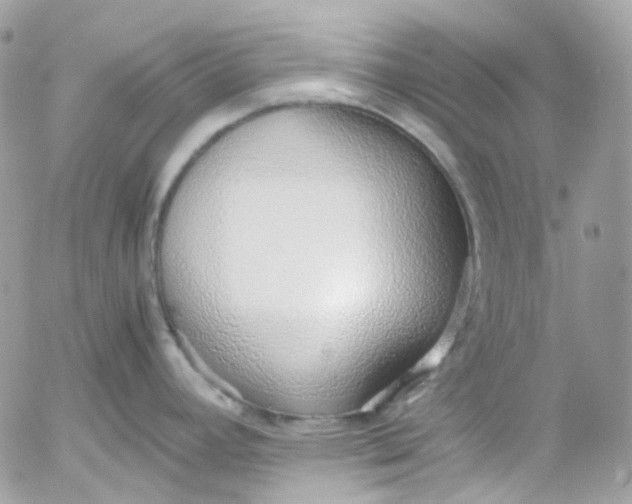 X0000052551392200507221440