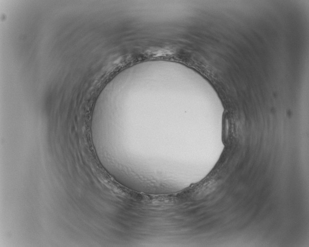 X0000052551393200507221439