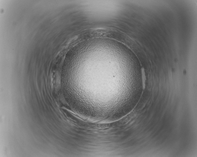 X0000052551394200507221439