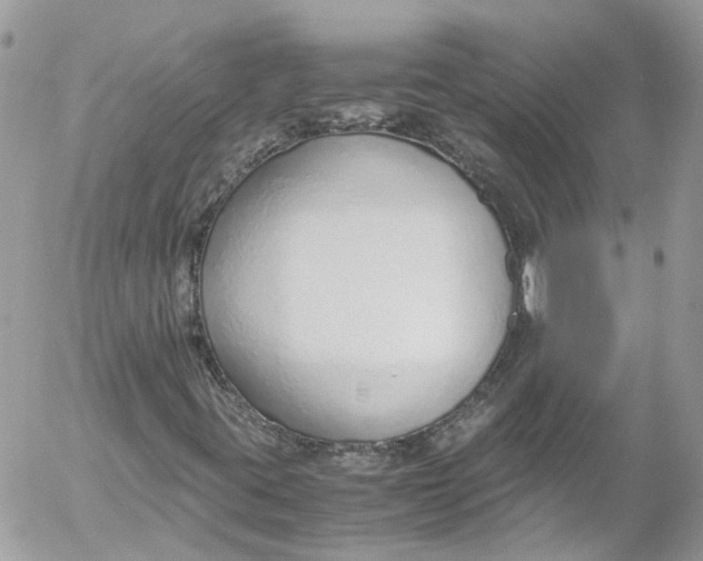 X0000052551395200507221439