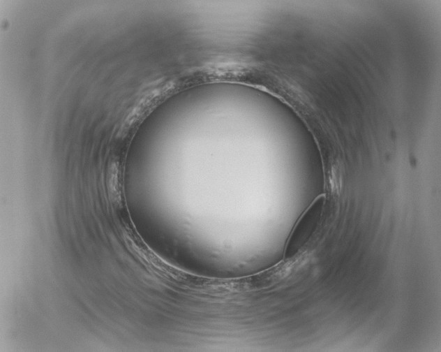 X0000052551396200507221439