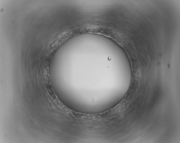 X0000052551397200507221439