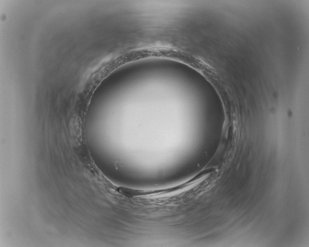 X0000052551398200507221439