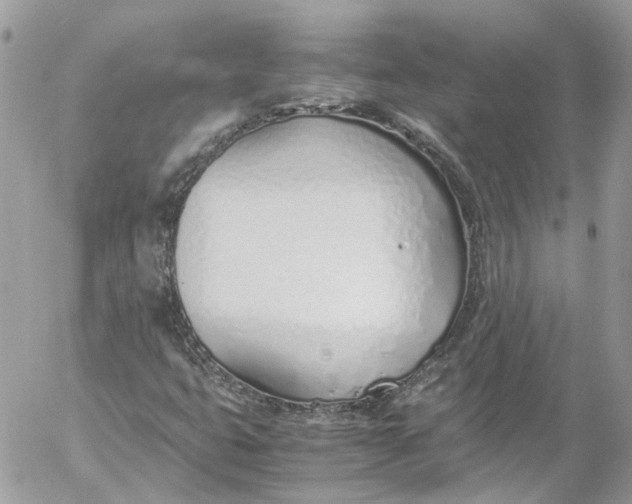 X0000052551399200507221439