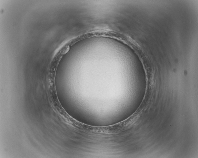 X0000052551400200507221439