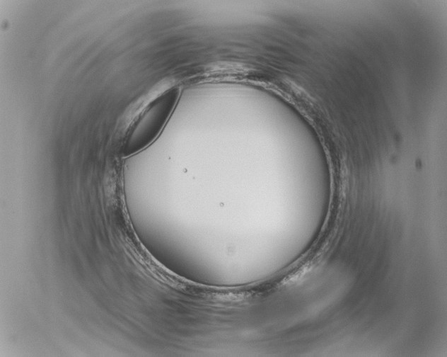 X0000052551401200507221439