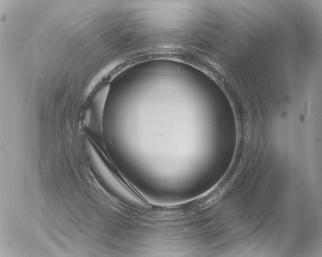 X0000052551402200507221439