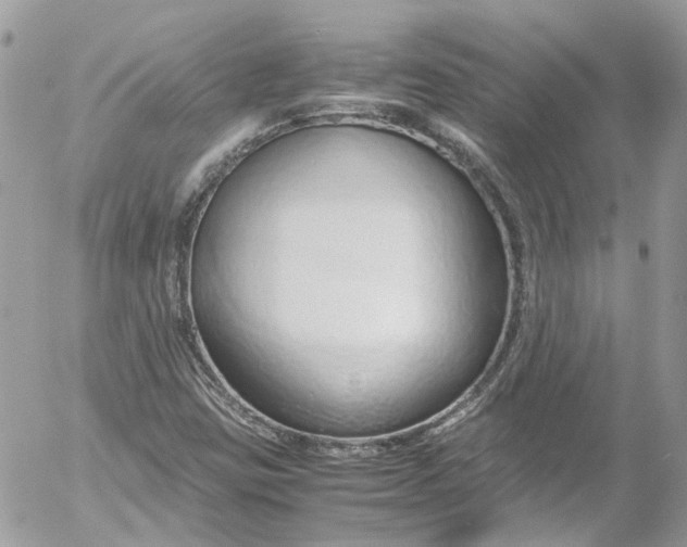 X0000052551403200507221439